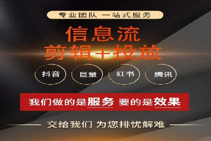 顶级SEM服务公司案例解析